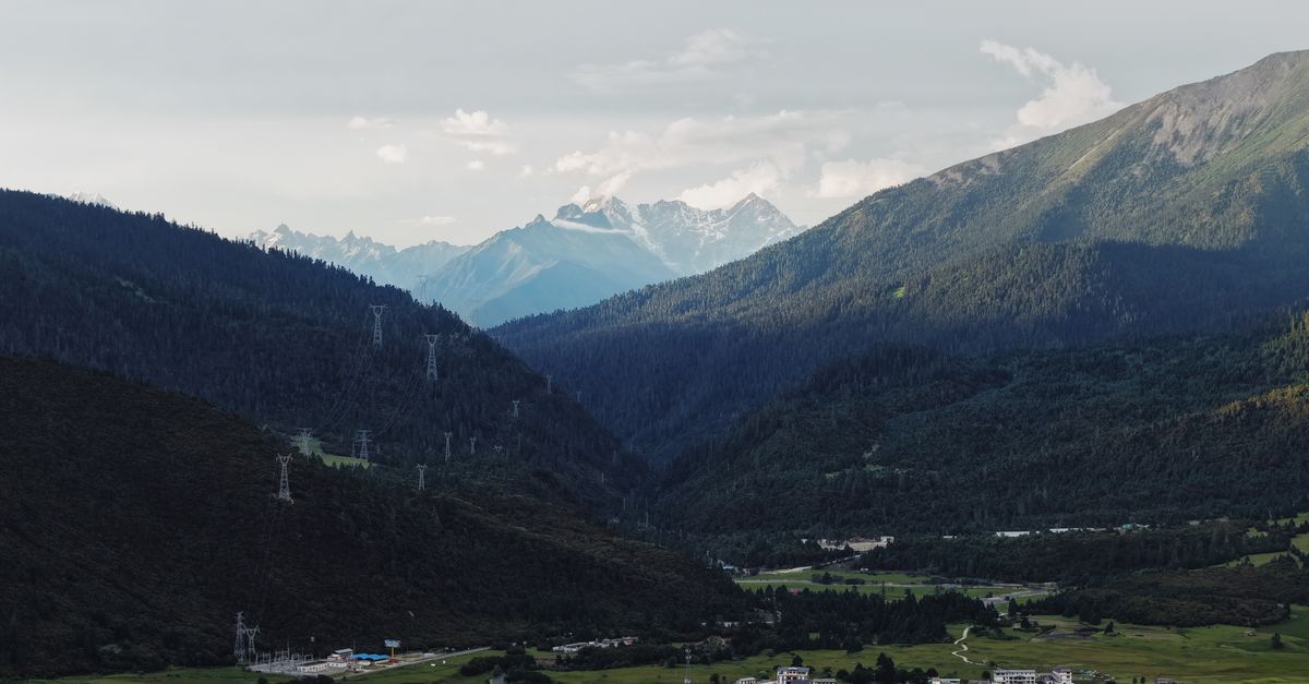 Aerial view of lush Tibetan valley in summer with distant snow-capped mountains.
